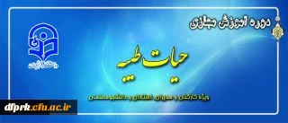 طرح معرفتی حیات طیبه مجازی آغاز شد