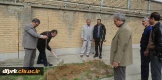 کاشت نهال بمناسبت هفته درختکاری