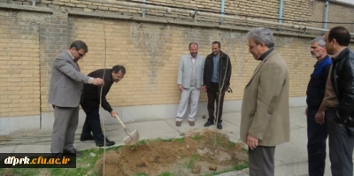 کاشت نهال بمناسبت هفته درختکاری
