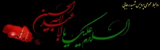 السلام علیک یا ابا عبدالله الحسین (ع)