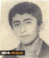 چراغ چهارم شهید تحسین حبیبی 2