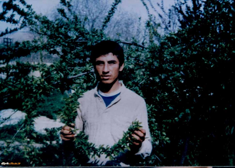 چراغ ششم شهیدحشمت اله محسنی 2