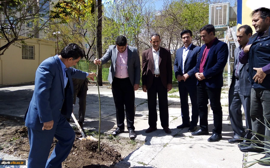 درختکاری در محوطه دانشگاه به مناسبت اعیاد شعبانبه 2