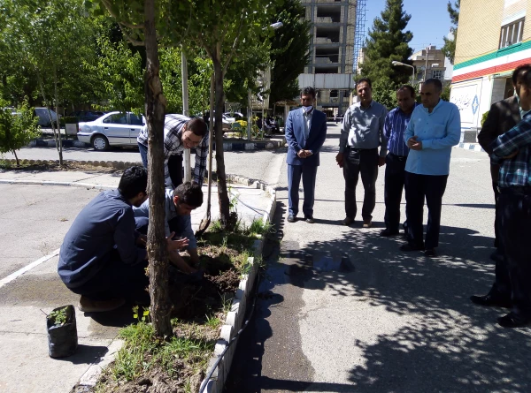 روز جهانی محیط زیست گرامی باد . بهمین مناسبت طی مراسمی کانون محیط زیست در پردیس شهید رجایی اقدام به کاشت بوته گلنمودند  5
