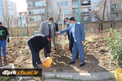 روز درختکاری و محیط زیست گرامی باد  5