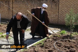درخت کاری به مناسبت روز شاهد و ایثارگر در پردیس شهید رجایی  2