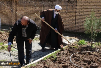 درخت کاری به مناسبت روز شاهد و ایثارگر در پردیس شهید رجایی 