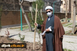 درخت کاری به مناسبت روز شاهد و ایثارگر در پردیس شهید رجایی  4