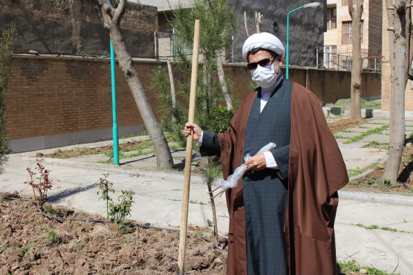 درخت کاری به مناسبت روز شاهد و ایثارگر در پردیس شهید رجایی  4