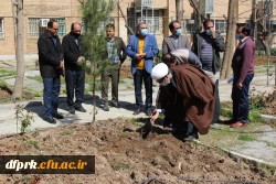 درخت کاری به مناسبت روز شاهد و ایثارگر در پردیس شهید رجایی  3