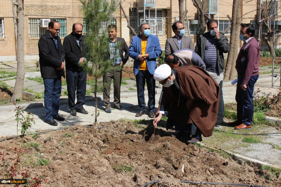 درخت کاری به مناسبت روز شاهد و ایثارگر در پردیس شهید رجایی  3