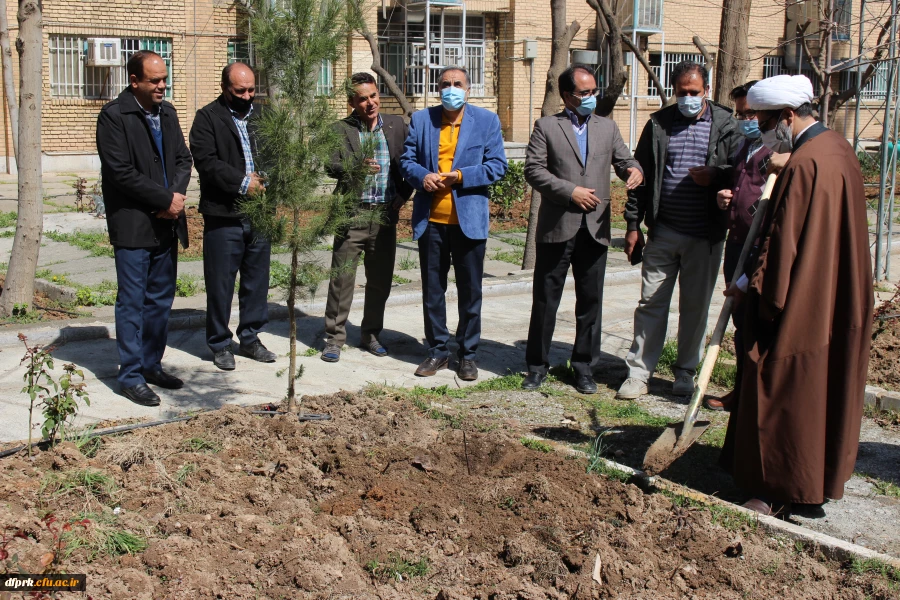 درخت کاری به مناسبت روز شاهد و ایثارگر در پردیس شهید رجایی  5