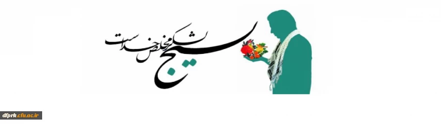 هفته بسیج گرامی باد  2