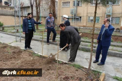 کاشت نهال در پردیس های دانشگاه فرهنگیان استان کرمانشاه 2