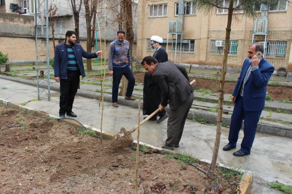 کاشت نهال در پردیس های دانشگاه فرهنگیان استان کرمانشاه 2