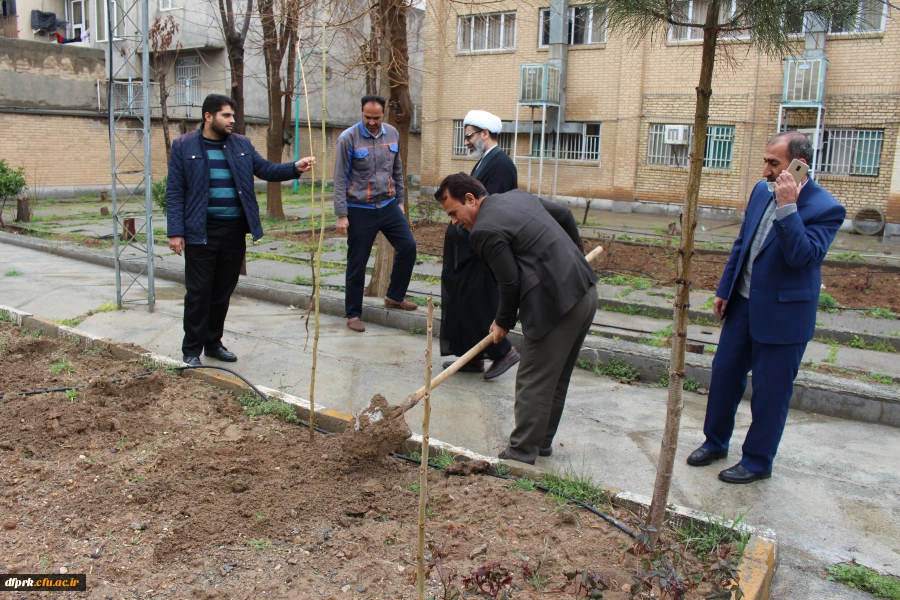 کاشت نهال در پردیس های دانشگاه فرهنگیان استان کرمانشاه 2