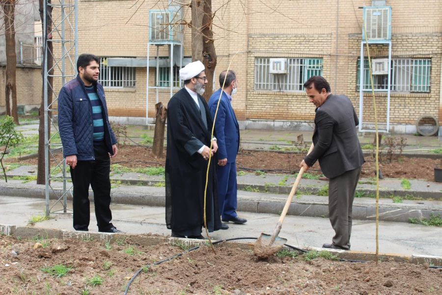 کاشت نهال در پردیس های دانشگاه فرهنگیان استان کرمانشاه 3